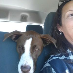 Meet your Posher, Barbara